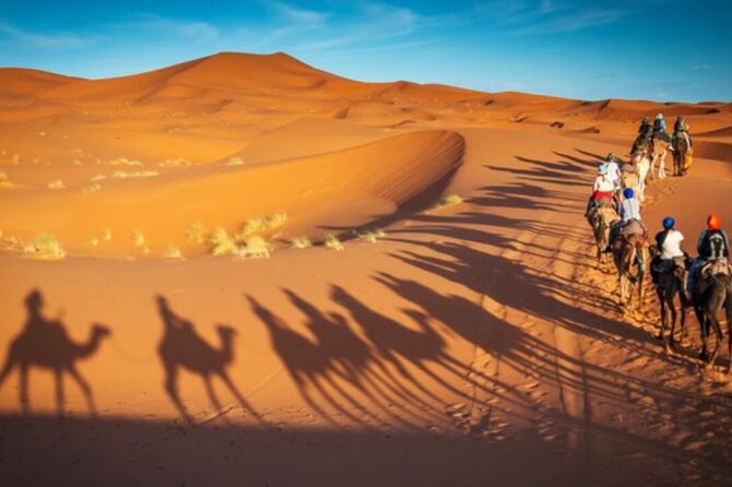 Doha Quad Bike, Dune Bashing, Camel Ride and Island Sea Tour - Guides make the difference