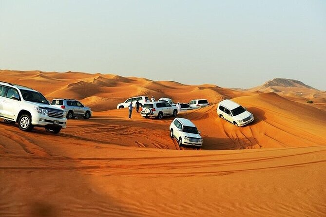 Doha: Quad Bike, Dune Bashing, Camel Ride & Inland Sea Tour - Camels, falcons, tea, and a short break