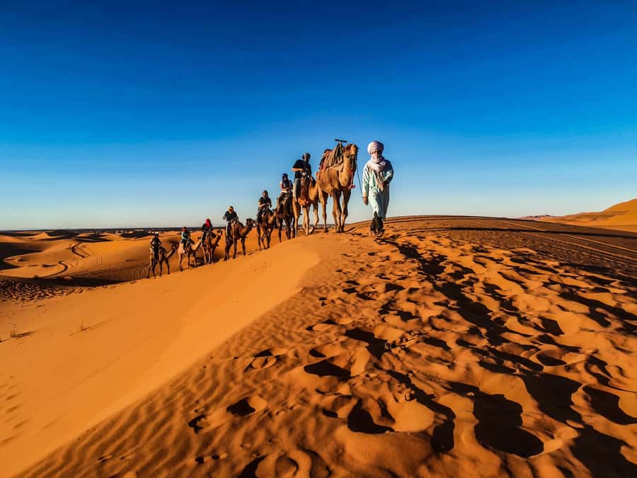 Doha: Quad Bike, Dune Bashing, Camel Ride & Inland Sea Tour - The Inland Sea and the Saudi Arabia border