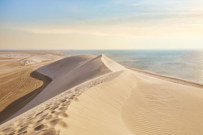 Doha Safari Adventures, Dune Bashing, Sand Buggy, Camel Ride Tour - A short Doha safari with a good mix of action
