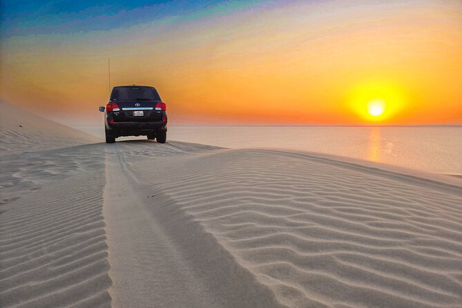 Doha Safari Adventures, Dune Bashing, Sand Buggy, Camel Ride Tour - Sea-facing dunes and sunset photo stops