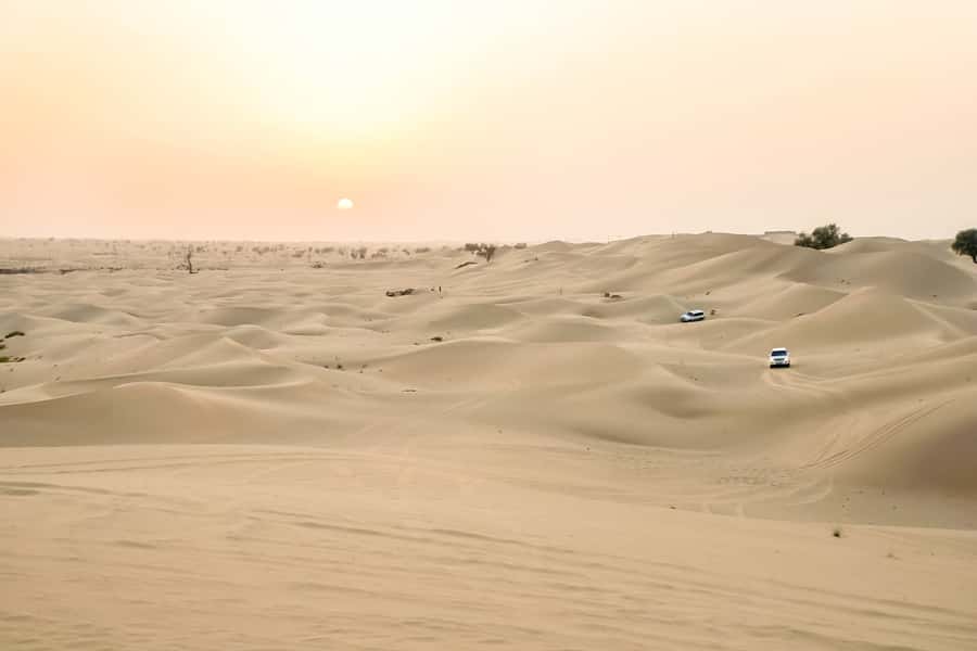 Doha: Safari, ATV, Camels, Sandboarding and Inland Sea Tour - Who should book this desert safari?