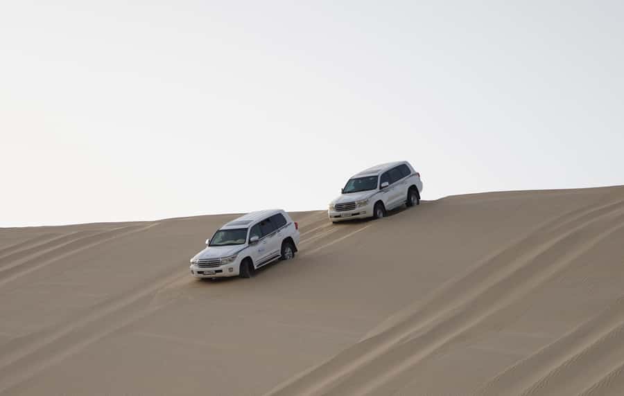 Doha: Safari, ATV, Camels, Sandboarding and Inland Sea Tour - What the $32 price really covers
