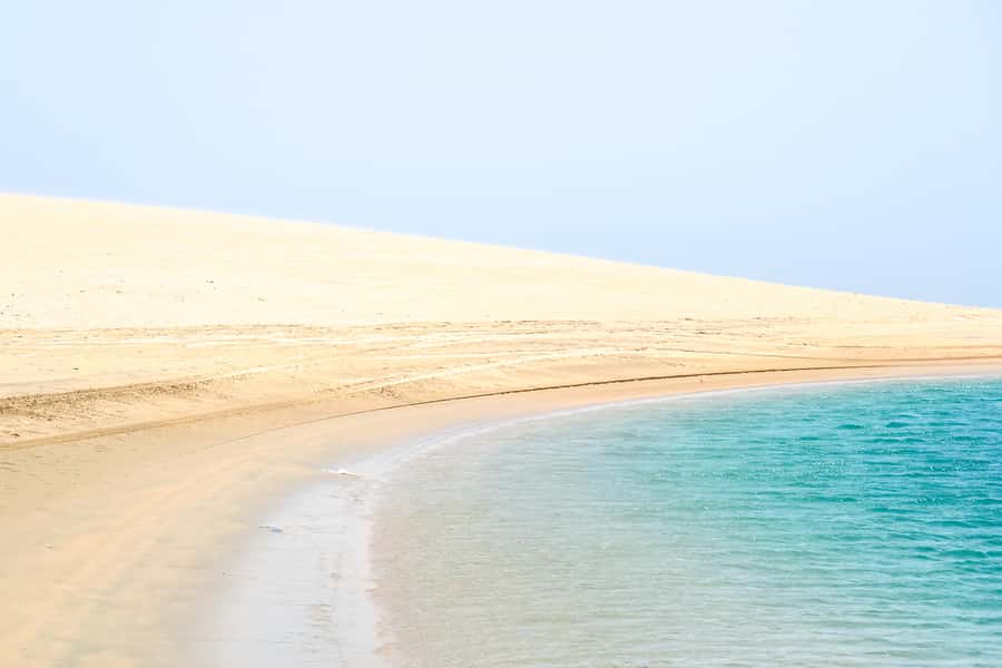 Doha: Safari, ATV, Camels, Sandboarding and Inland Sea Tour - Guides, driving, and the feel of the outing