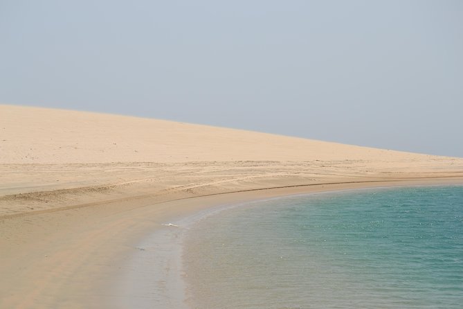 Doha: Safari, Dune bashing, Camel Ride, Sandboarding & Inland Sea - Dune bashing across Qatar’s golden dunes