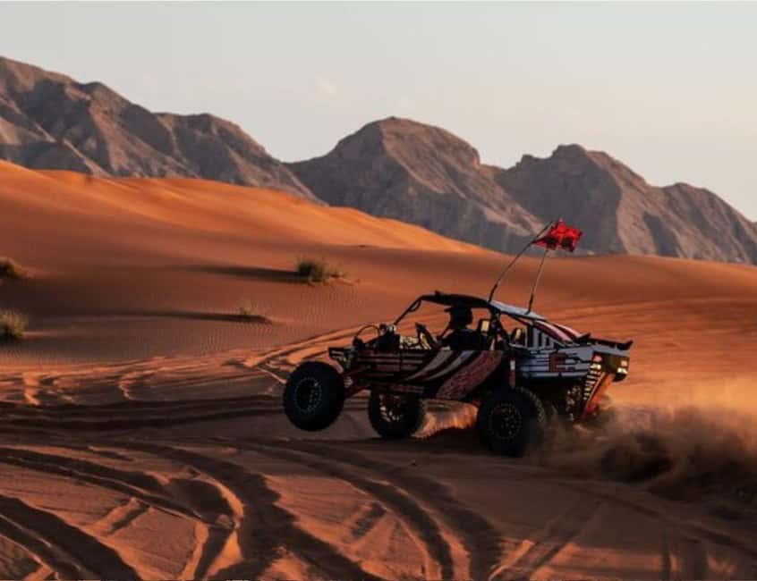 Doha: Self-Ride Desert Dune Buggy Experience with Guide - Who should choose this Doha desert tour?