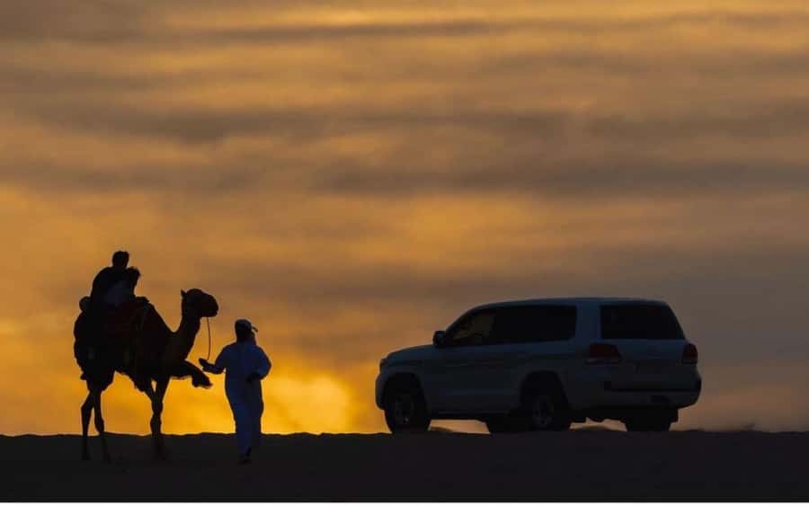 Doha: Stargazing Desert Safari w/ Dune Bashing & Camel Ride - Why this Doha night safari works