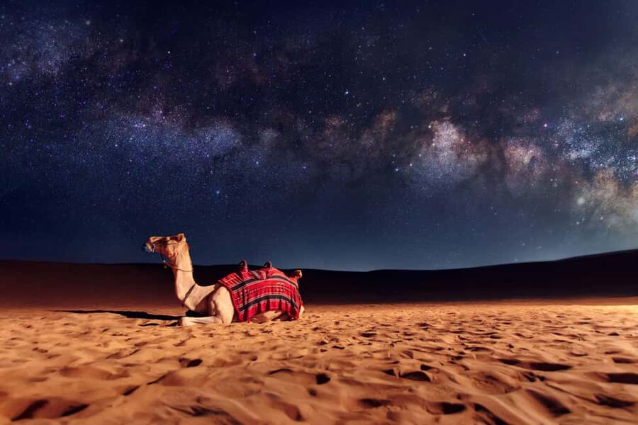 Doha: Sunset Desert Safari, ATV, Camel Ride and Sandboarding - A quick camel ride before the speed begins