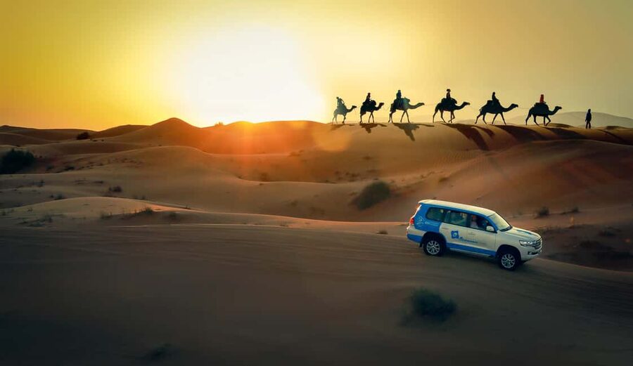Doha: Sunset Desert Safari, ATV, Camel Ride and Sandboarding - Forty minutes of dune bashing