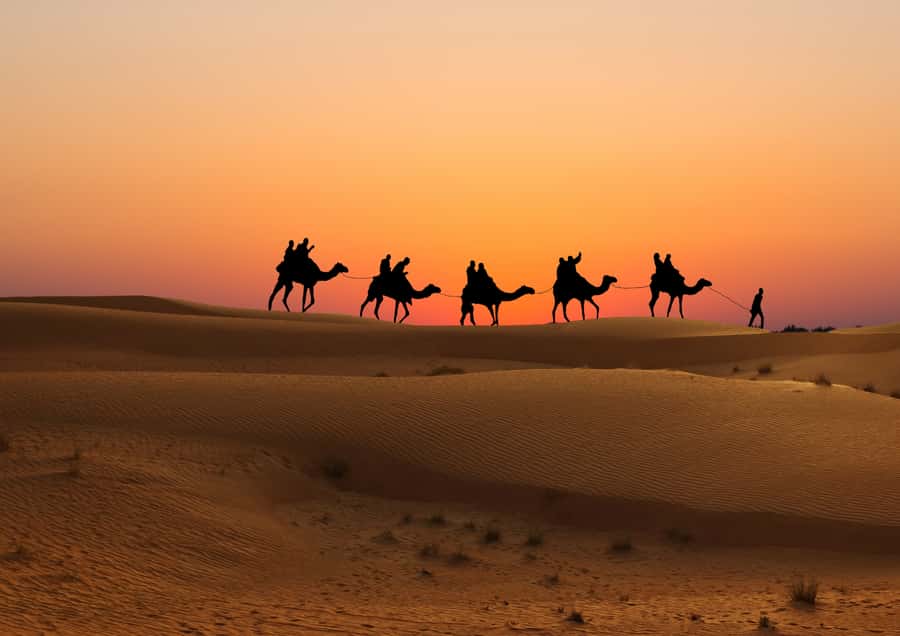 Doha: Sunset Safari, Dune Bashing, Sandboarding & Camel Ride - Dune bashing across Qatar’s golden sand