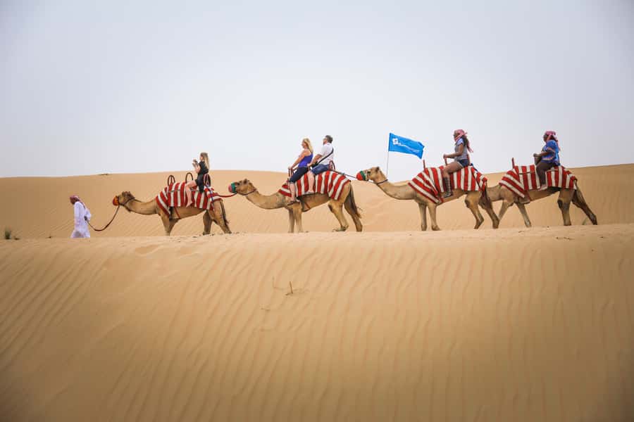 Dubai: Adventure Quad Bike Safari, Camel Ride & Refreshment - The Short Camel Ride
