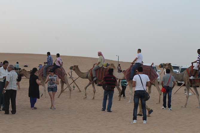 Dubai: Buggy Dune Bashing, Sand Boarding, Camel Ride & Show - The camel stop: brief, traditional, and mainly for photos