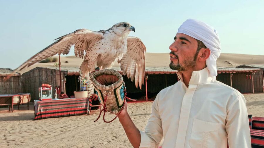 Dubai Desert Adventure: Red Dunes Guided Quad/Polaris & BBQ - BBQ dinner, belly dance, Tanura, and fire theatre