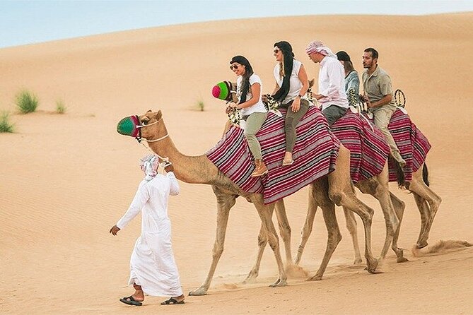 Dubai Desert Safari Adventure, 60mins ATV, Camel Ride, Shows, BBQ - Who should book this desert safari?