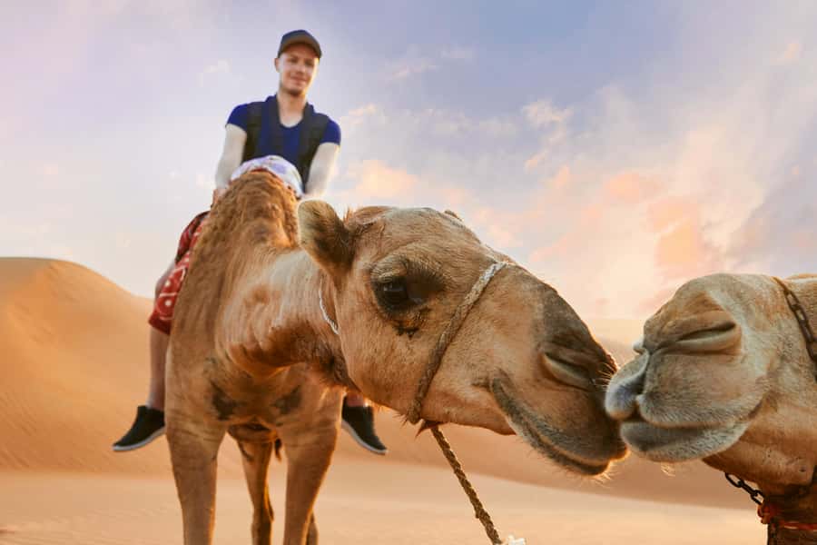 Dubai Desert Safari - Camel Ride, Sandboarding & 30 Min Quad - Quad biking adds the most hands-on fun