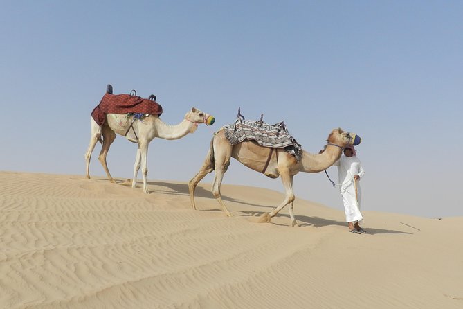 Dubai Desert Safari Dune Bashing, 60min ATV Quad, Camel Ride, BBQ - Who will enjoy this safari most?