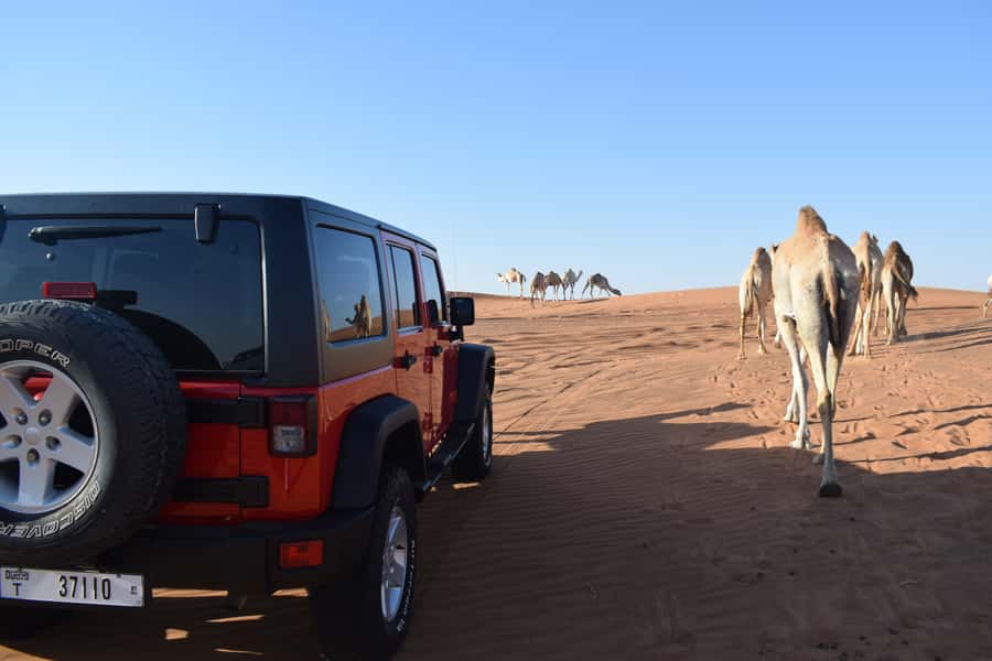 Dubai: Desert Safari, Quad Bike, Camel Ride and Sandboarding - Sunset photos and the return drive