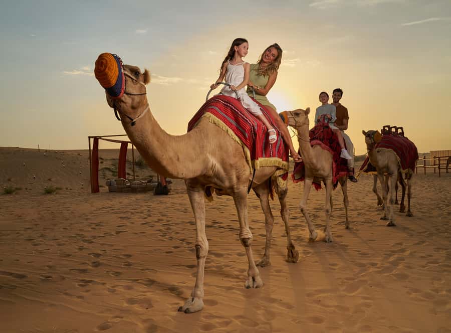 Dubai: Desert Safari, Quad Bike & Premium Camp Experience - From Dubai hotel lobby to the red dunes