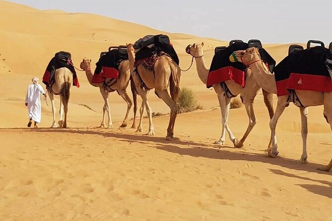 Dubai Desert Safari with Dune Bashing, Camel Ride, & BBQ Dinner - Leaving Dubai for the red dunes of Lahbab