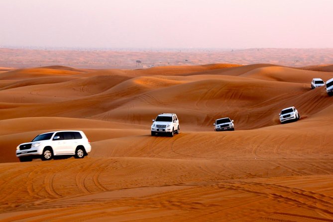 Dubai Desert Safari with Dune Bashing, Camel Ride, & BBQ Dinner - Guides make or break the day