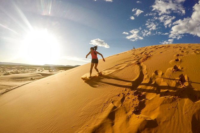 Dubai Desert Safari with Dune Bashing, Camel Rides & BBQ - Dune bashing: the tour’s main burst of action