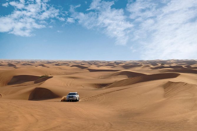 Dubai Desert Safari with Dune Bashing, Camel Rides & BBQ - Falconry and the cultural program