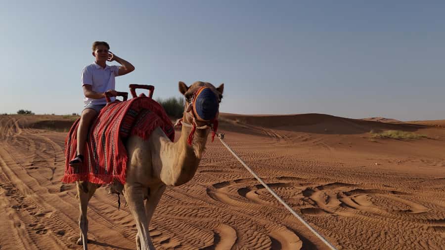 Dubai: Dune Buggy Safari and Camel Ride with Transportation - Photo Stops, Sandboarding, and Wide Desert Views