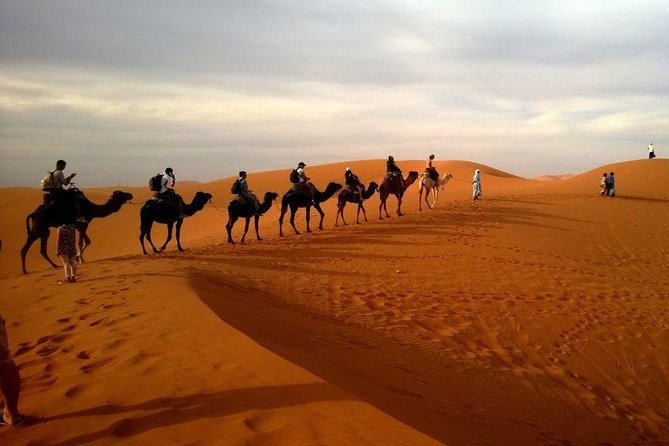 Dubai Evening 4x4 Desert Safari ATV Bike ,Camel Ride , BBQ Dinner - Four shows round out the evening
