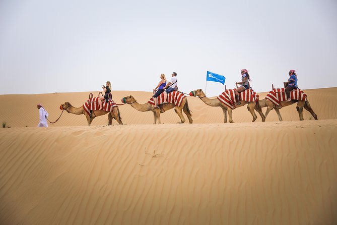 Dubai: Half-Day Desert Safari, Camels, Quad Bike & Refreshments - Falcon photos add a traditional touch