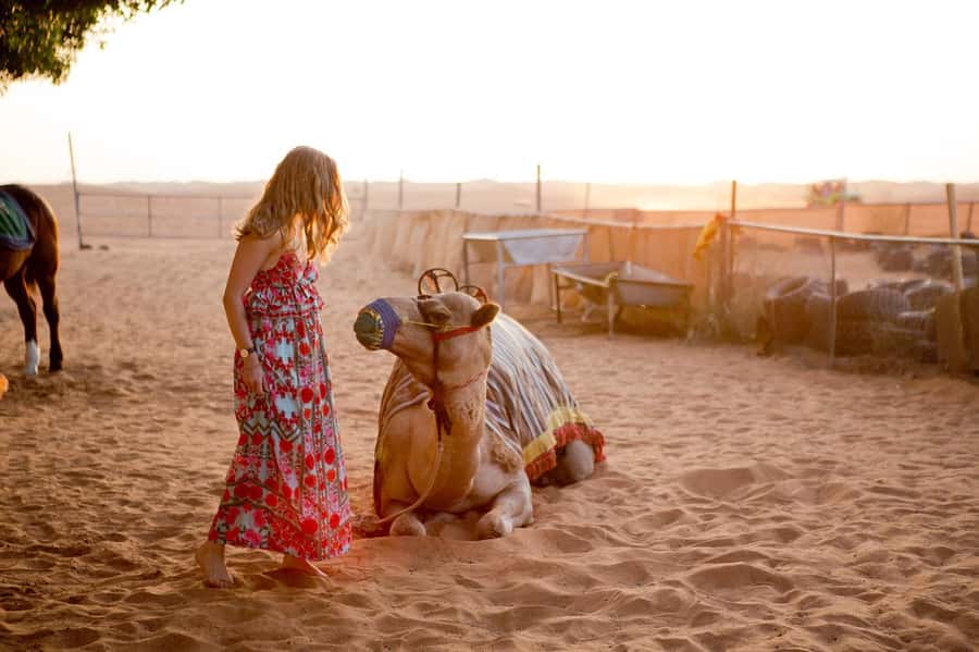 Dubai: Hot Air Balloon with Camel, ATV, & Horse Ride Options - Who should book this desert morning