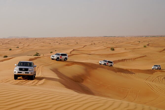 Dubai Morning Desert Safari with Quad Biking & More Activities - Guides Make the Difference