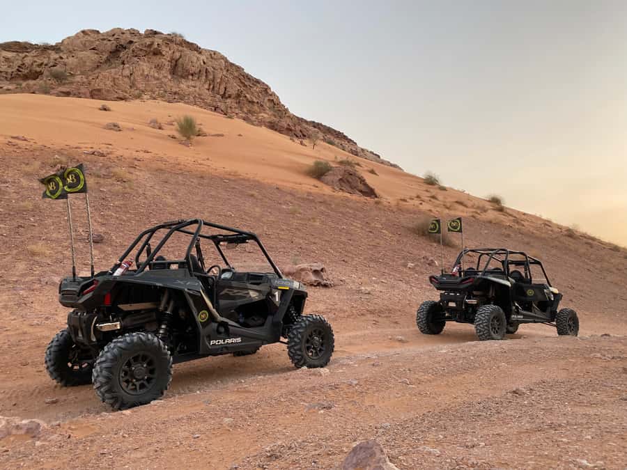 Dubai: Private Desert Buggy Tour, Camel Ride & Sandboarding - What the Driving Actually Feels Like