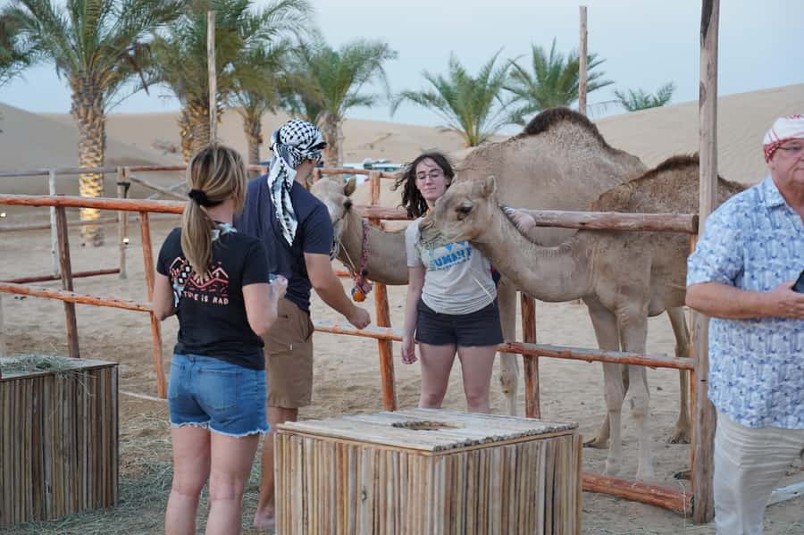 Dubai: Red Dune Desert Safari, Quad Bike, Camels, and BBQ - Is $27 good value?