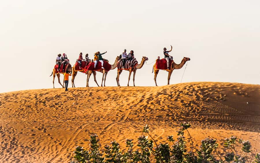 Dubai: Red Dune Safari, Quad Bike, Camel Ride, BBQ Dinner - Key points to know before booking