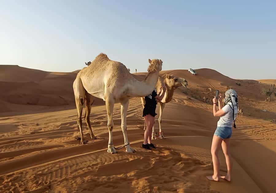 Dubai: Red Dunes Morning Desert Quad, Buggy or 4x4 Ride - Camel riding and the slower side of the desert