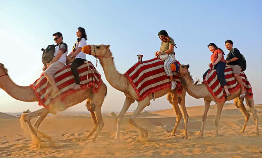 Dubai: Red Dunes Quad Bike with Sandboarding, Camels and BBQ - Is $65 good value?