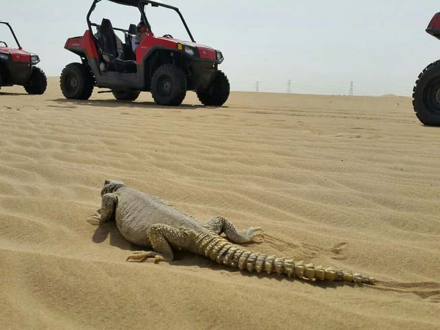 Dubai: Self-Drive Dune Buggy Safari with Pickup and Drop-Off - The ride from Dubai to the desert