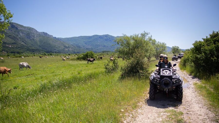 Dubrovnik: Kojan Koral ATV Quad Safari with transport - The second ride: rocks, viewpoints, and the way home