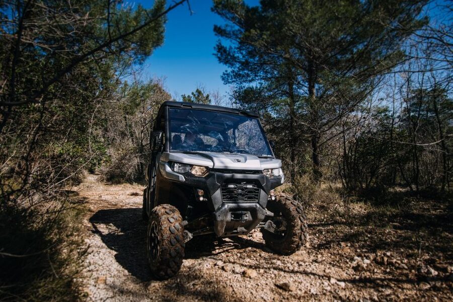 Dubrovnik: Private Panoramic Half-Day Buggy Tour with Brunch - Countryhouse Ano and the olive oil tasting