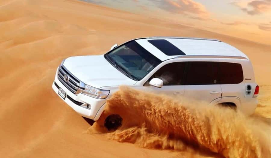 Dune Bashing &Beyond The Ultimate Desert Safari From Doha - Key points to know before you book