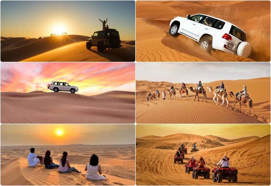 Dune Bashing &Beyond The Ultimate Desert Safari From Doha - Sealine Beach Resort: sand meets the coast