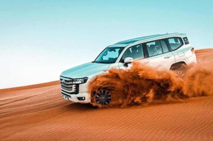 Dune Bashing &Beyond The Ultimate Desert Safari From Doha - Camel riding and traditional desert touches