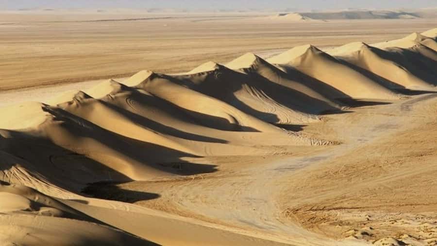Dune Bashing, Sandboarding, Camel Ride & Optional ATV Ride - Dune bashing across Qatar’s golden sand