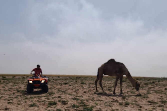 Dunes Quad or Buggy Tour In Agadir - Reaching the dunes at Tifnit beach