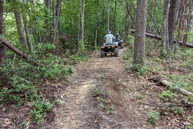 East Tennessee Off Road ATV Guided Experience - The bluff overlook is the scenic reward