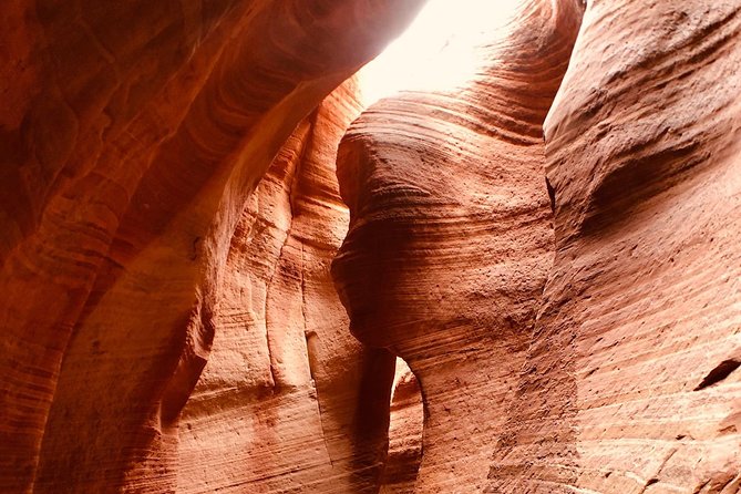 East Zion 4 Hour Slot Canyon Canyoneering UTV Tour - Is $174 a good value?