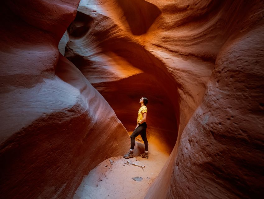 East Zion: Crimson Slot Canyon Exploration and UTV Tour - The UTV ride adds real adventure