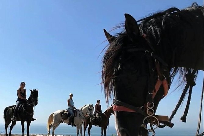 Essaouira Activities: Discover Essaouira by Quad - Wild beaches and Atlantic air