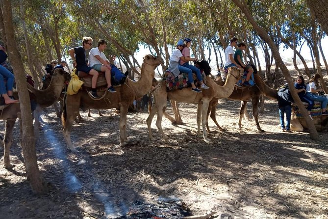 Essaouira Activities: Discover Essaouira by Quad - What the three hours feel like