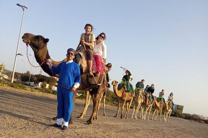 Essaouira Activities: Discover Essaouira by Quad - The guide and animal care